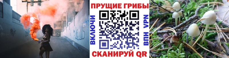 Псилоцибиновые грибы MAGIC MUSHROOMS  Купить  Бор 